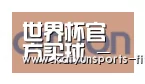 世界杯投注合作伙伴五